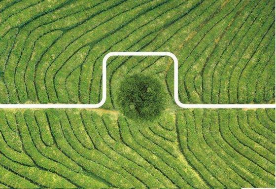 Pulverizador de granja con drones precisos Resistente al agua y al polvo Alta estabilidad