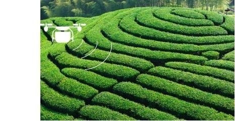 Drone UAV de pulverización de pesticidas para cultivos personalizado con carga útil de 5 kg y forma de cono hueco