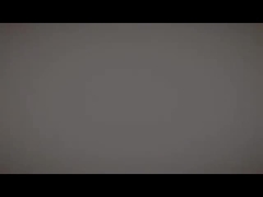 Velocidad de la bandera