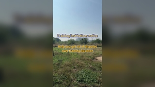 Un dron para fumigación de cultivos de precisión resuelve disputas sobre capacitación